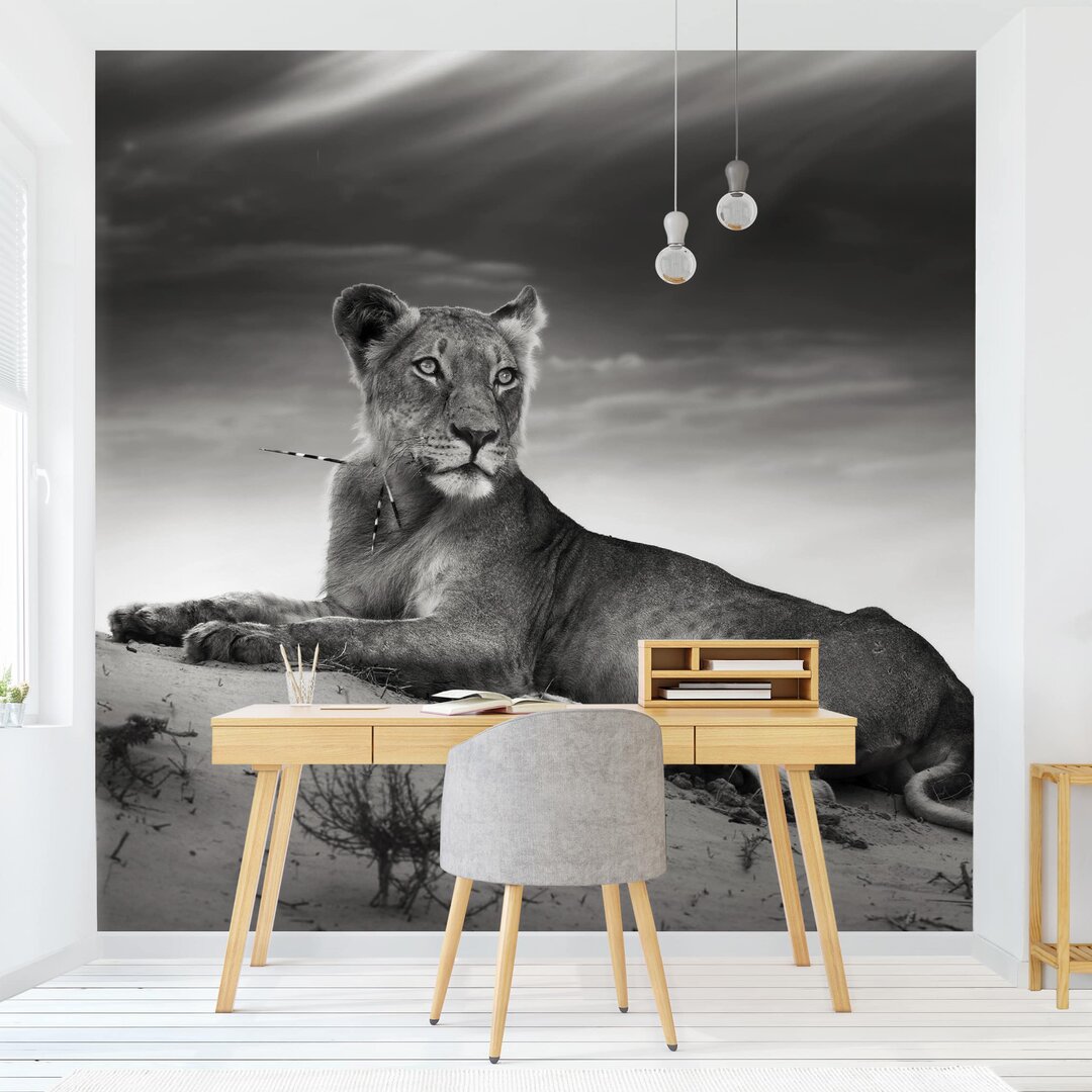 Strukturierte Fototapete Resting Lion 2,88 m x 288 cm