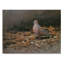 «Mourning Dove» par Michael Jackson, reproduction sur toile-33539203