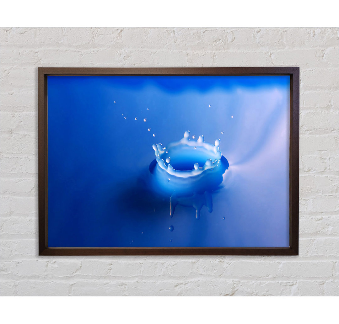 Splash Milk Blue - Druck