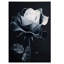 Wrapped Canvas Print-1654984773