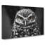 Little Owl in Abstract - Wrapped Canvas-55313227