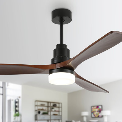 Ventilateur de plafond à DEL 52 pouces avec ensemble d'éclairage et télécommande Besseris, 3 pales en bois réversibles