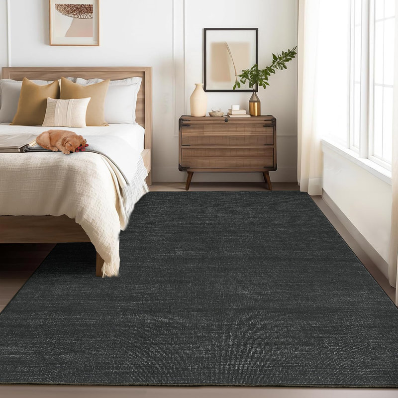 Machine Washable Area Rug for Living Room Modern Solid Color Throw Carpet for Bedroom Dining Room, Rectangle 4' x 6', Black