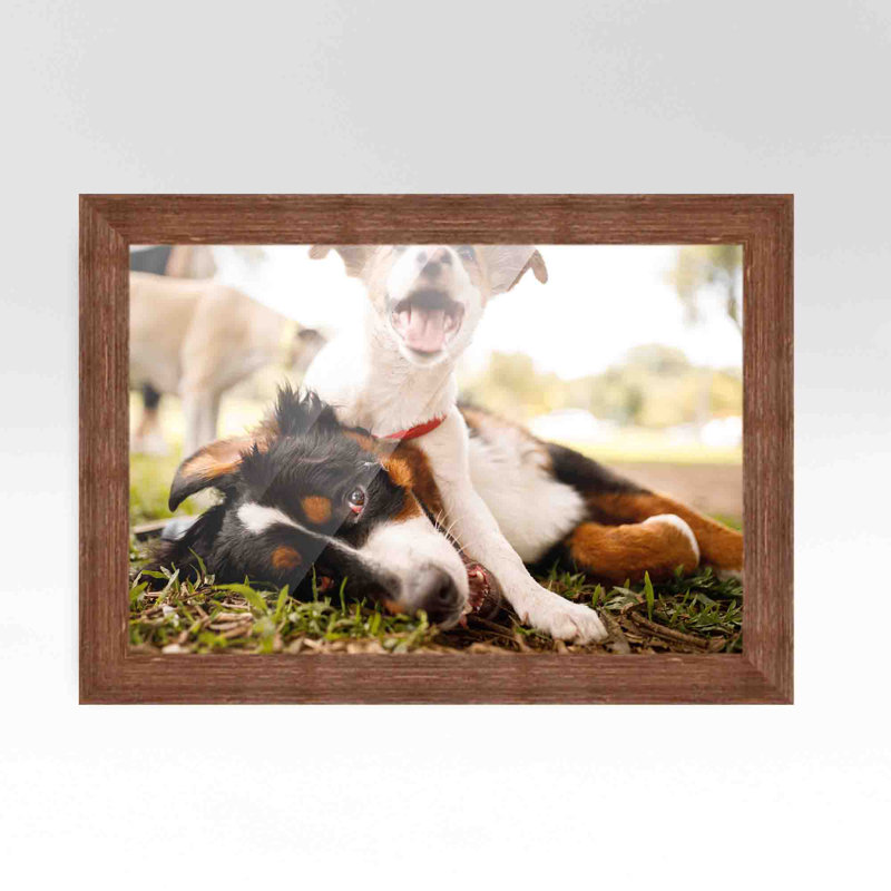Cadre photo simple Barnwood, 20 po x 24 po, Brun