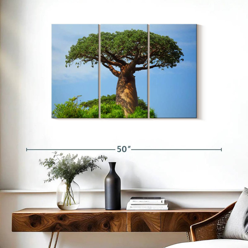 Baobab africain, H 24 po x l 38 po