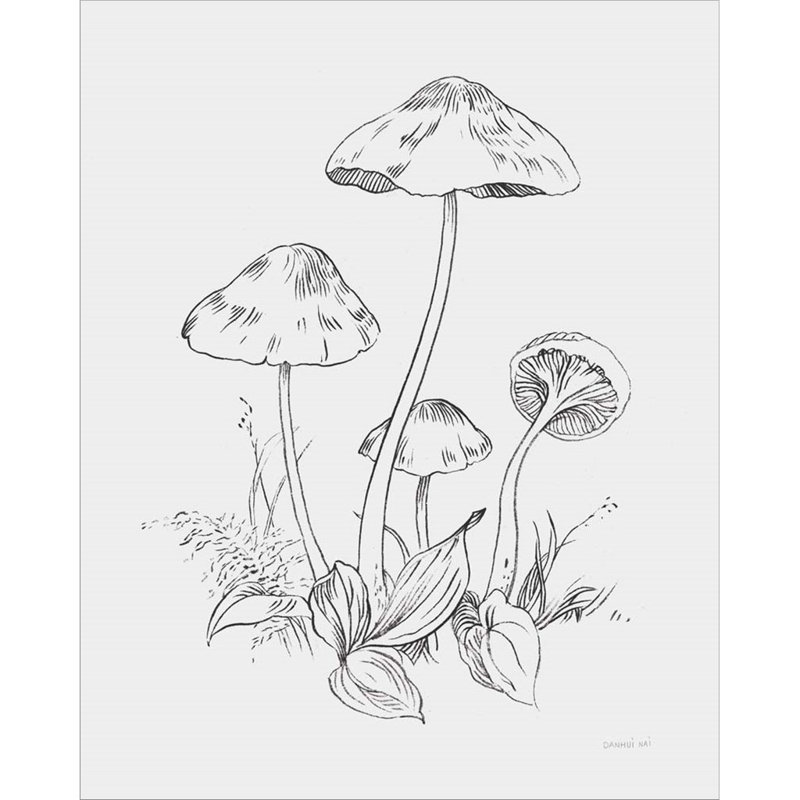 Natures Sketbook III Bold Light Grey par Danhui Nai - impression encadrée
