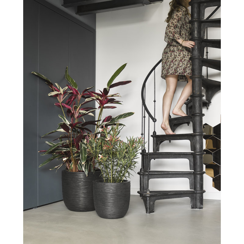 Pot Planter, 34cm H x 35cm W x 34cm D, Black