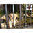 18'' H x 91.1'' W Black Metal Fencing with 10 Panel(s) Included