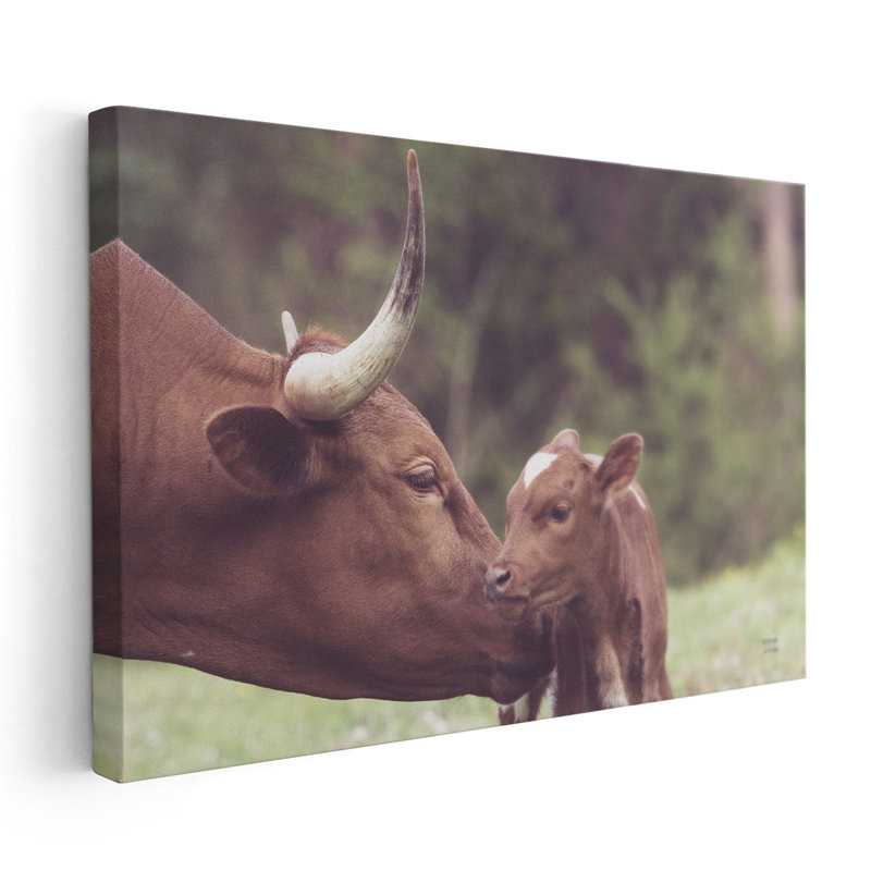 «Longhorn Jumelage», reproduction d'art sur toile, H 32 po x l 48 po