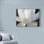 «Delicate Lotus V», impression sur toile tendue-33513960