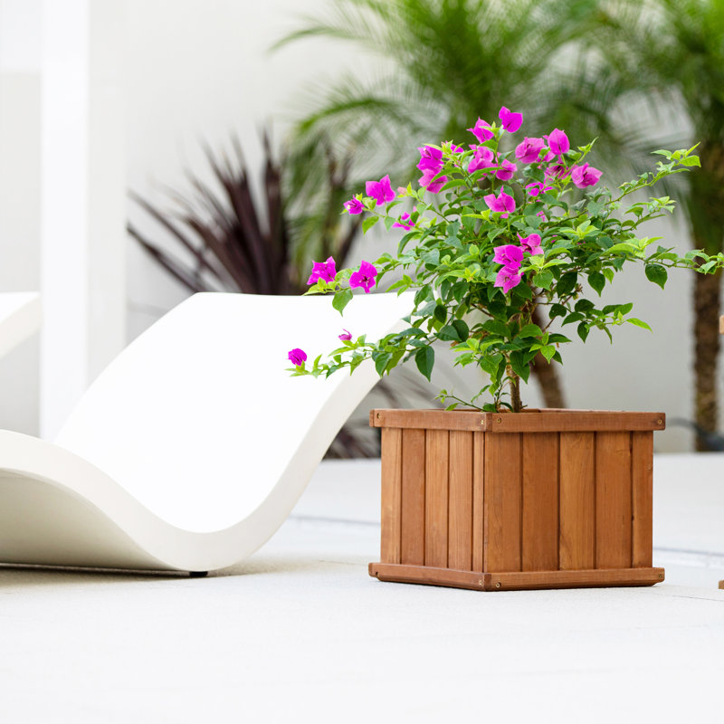 Boîte à fleurs en bois Barros, Brun