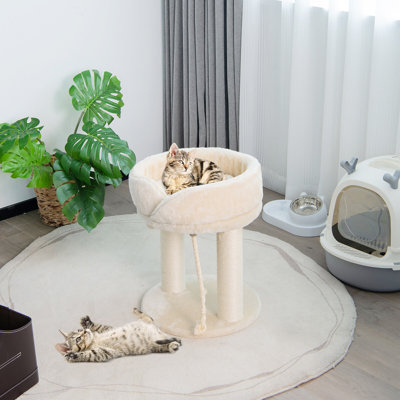 Perchoir pour chat 21 "