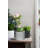 Carlis Ceramic Pot Planter