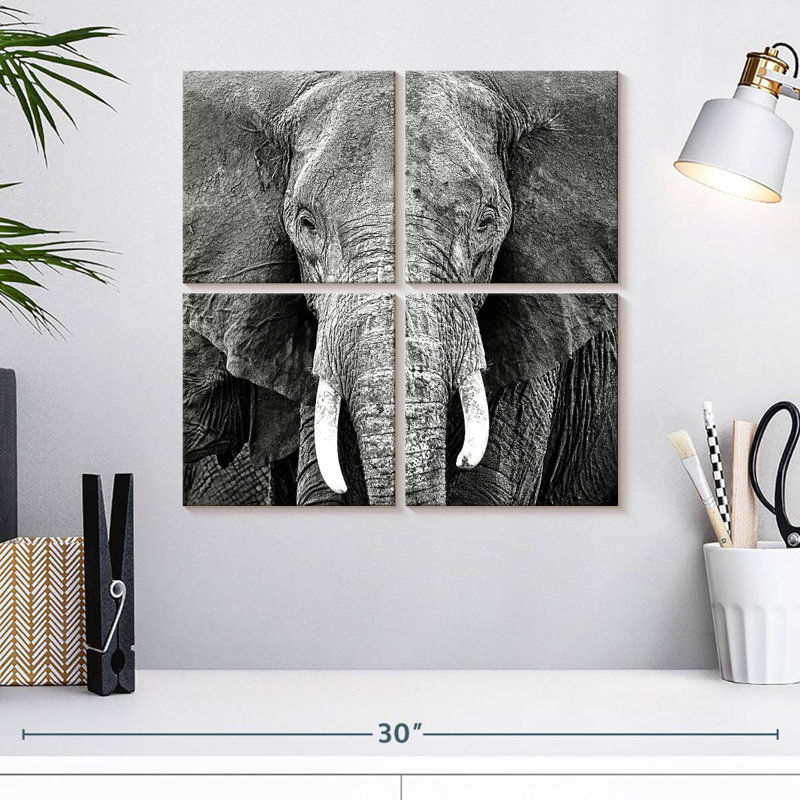 Brampt Elephant Wrinkles, 18" H x 18" W
