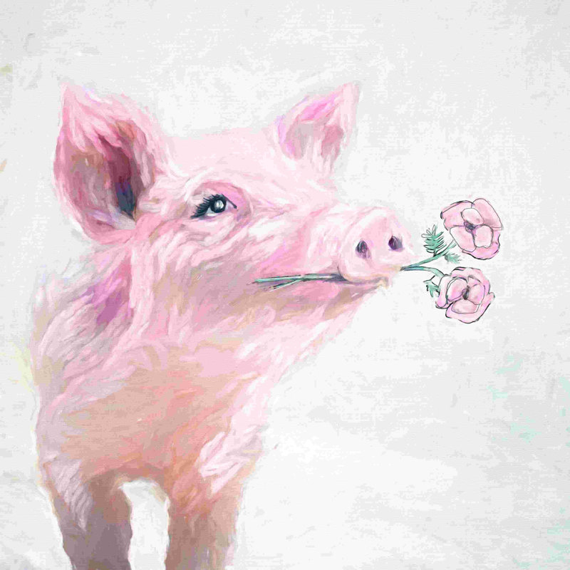 " Pretty Pink Pig " Painting Print,  36" H x 36" W 