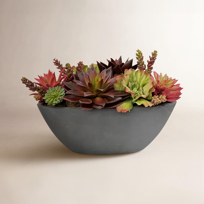 Mixed Succulent In Oval Planter