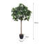 Burkitt 122cm Plant: Lifelike & Zero Maintenance