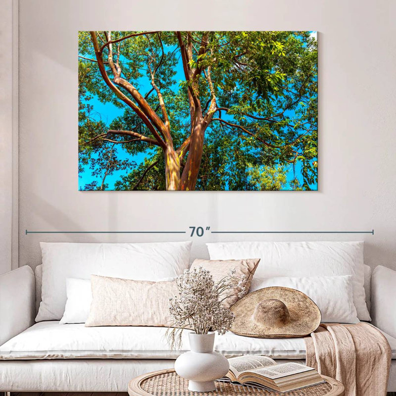 Alvord Rainbow Eucalyptus, 32" H x 48" W