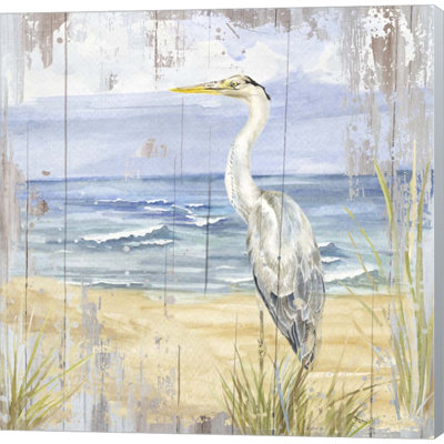 «Birds Of The Coast Rustic II» par Tara Reed, art mural sur toile