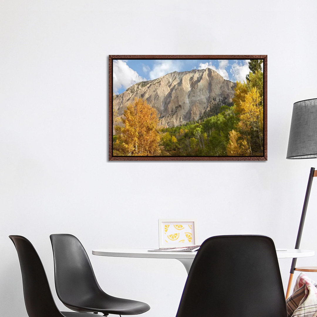 Marcellina Mountain Near Crested Butte, Colorado von Tim Fitzharris - Galerie-verpackte Leinwand Giclée auf Leinwand