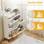 Allyssah 8 Pair Shoe Storage Cabinet