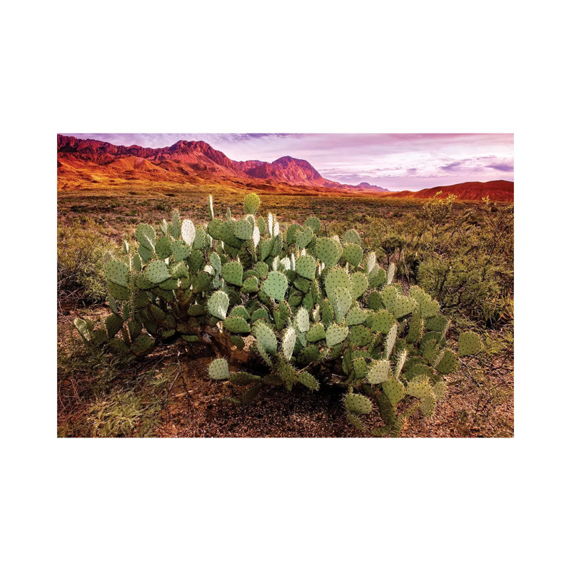 Chisos Mountains With Prickly Pear Cactus I by Susanne Kremer - Wrapped Canvas Gallery-Wrapped Canvas Giclée