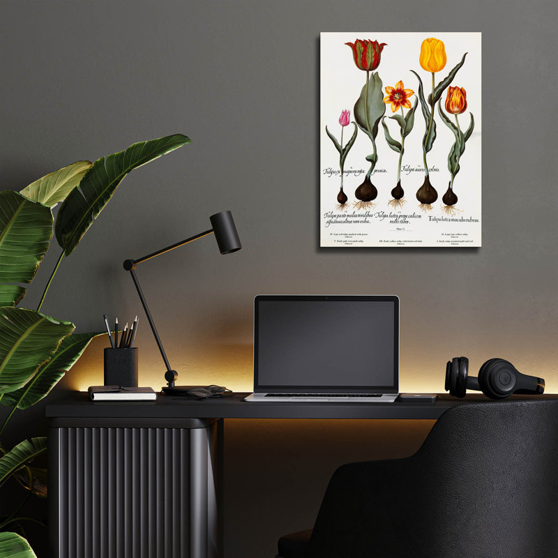  «Tulips» par Art Licensing Studio, art mural en verre acrylique, 12 po x 16 po