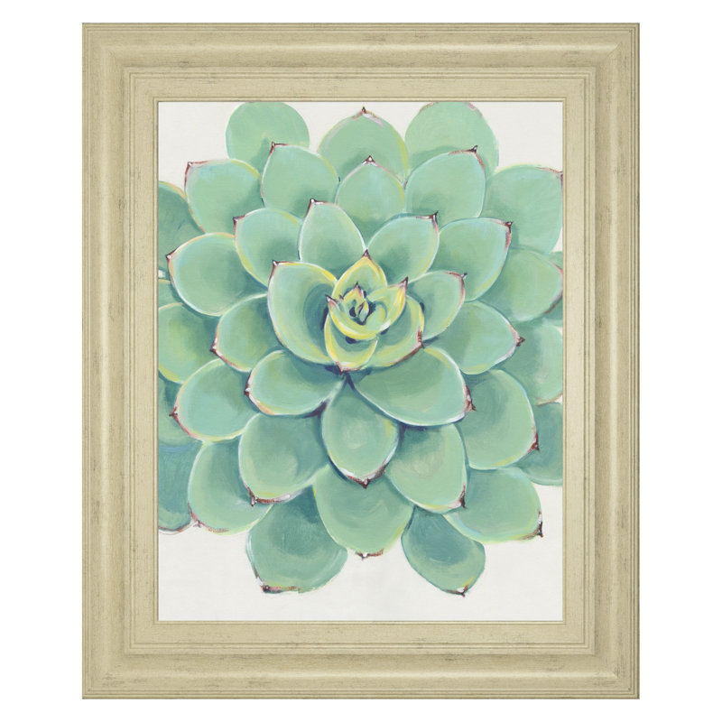 Art mural Pastel Succulent III - 22 po x 26 po - Cadre brun clair