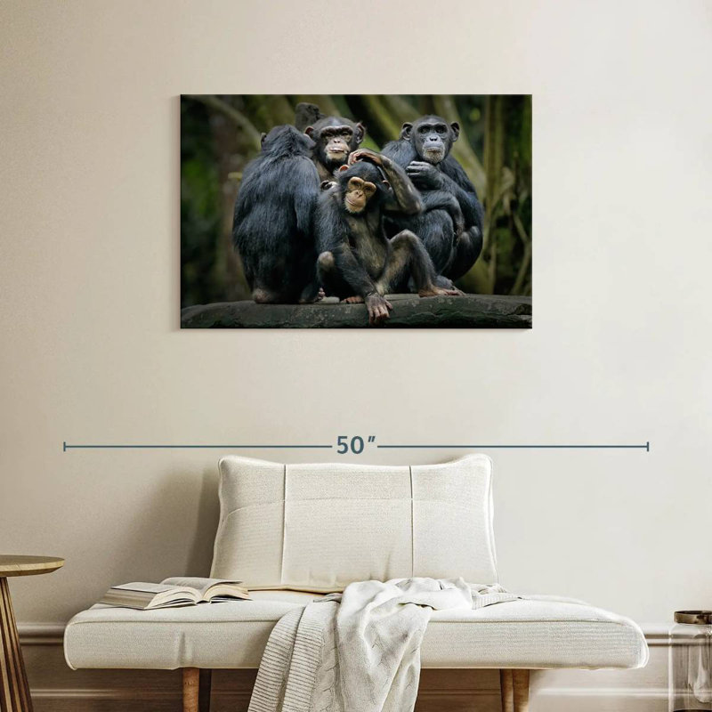 Crowle Chimps and Bonobos, H 24 po x l 36 po