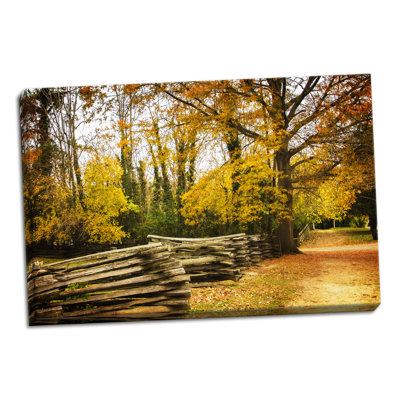 « late automne day i », reproduction de photo