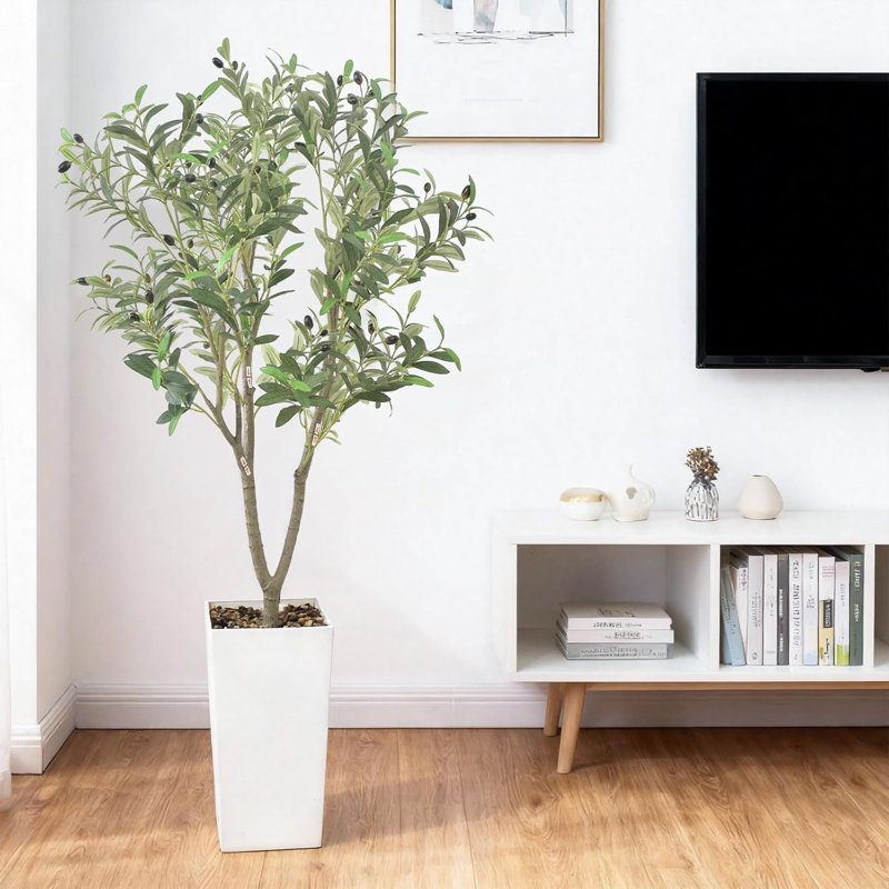 150cm Plant