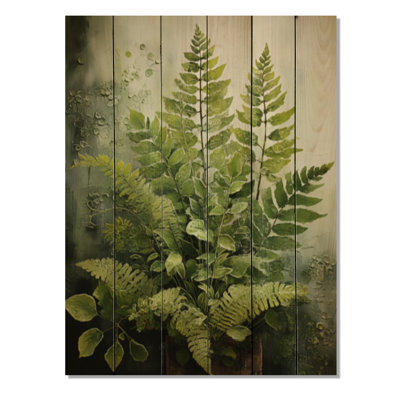 Ferns Plant Timeless Elegance IV sur impression sur bois