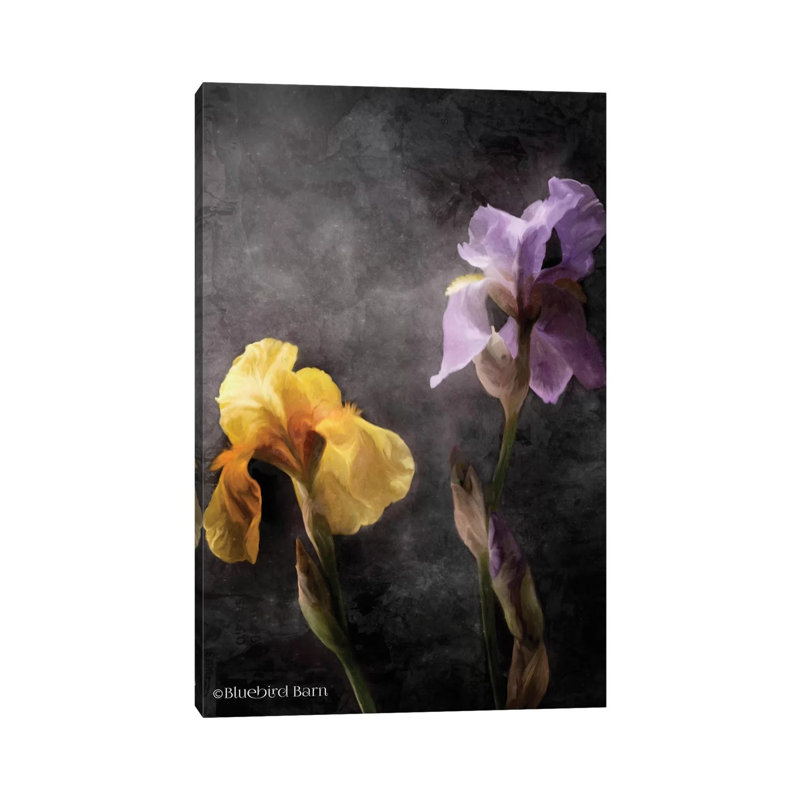 Contemporize Floral Iris by Bluebird Barn - Wrapped Canvas Painting, 20.32 cm H x 30.48 cm W