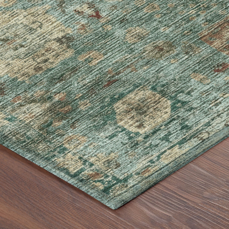 Machine Washable Indoor/Outdoor Chantille ACN2429 Traditional Rug, Seafoam, 5' x 7'6"