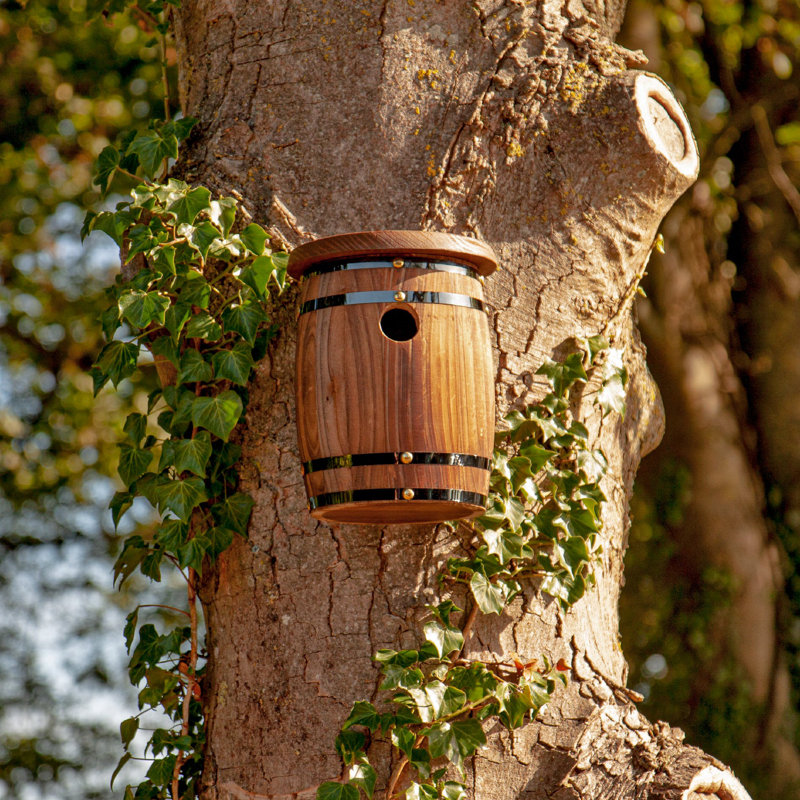 Strassen Mounted Birdhouse