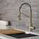 Kraus Bolden Commercial Style 2-Function Single Handle Pull-Down Kitchen Faucet