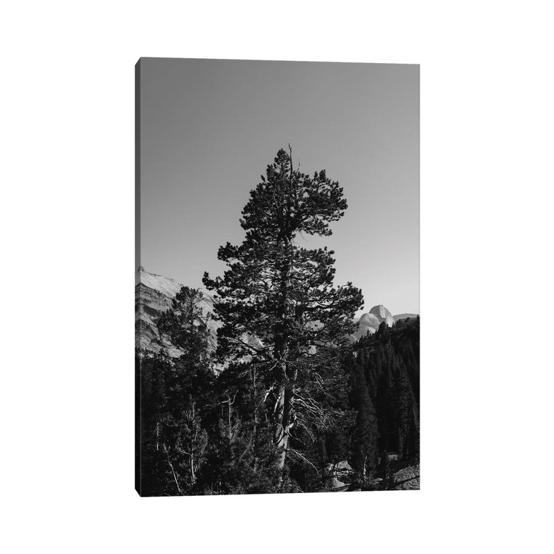 Olmsted Point, Yosemite National Park VI by Bethany Young - Print on Canvas, 101.6cm H x 66.04cm W x 3.81cm D, Wrapped Canvas