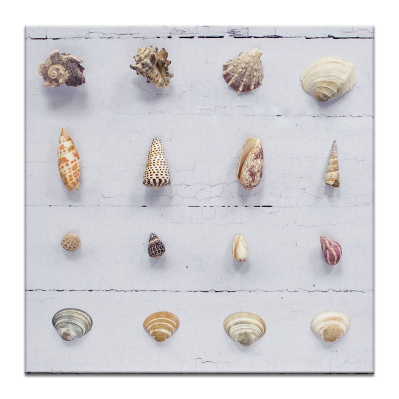 Wrapped Canvas Print, 76 cm H x 76 cm W