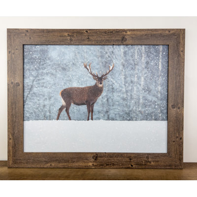 Cerf dans la neige - cadre photo