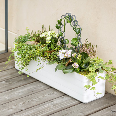 Justiz Window Box Planter