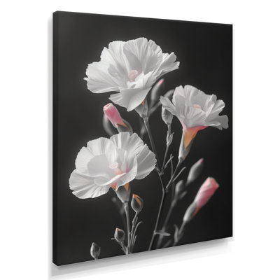 White Grey Botanical Carnations - Carnations Wall Art Living Room