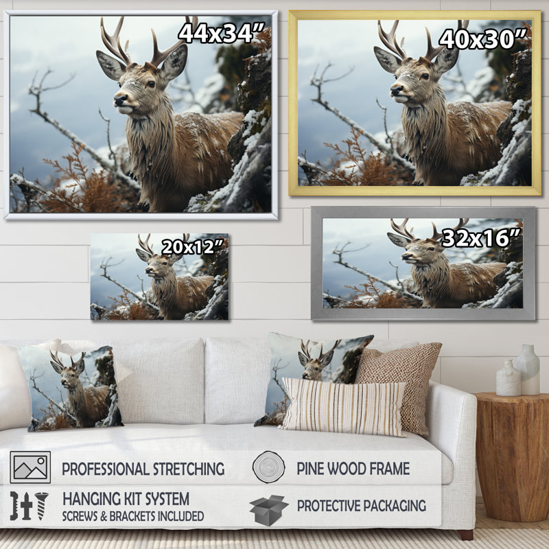 «Winter Deer», photographie monochrome II sur toile, H 34 po x l 44 po x P 1,5 po, Cadre doré simple