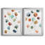 «Lollipop Garden I», ensemble de 2 impressions-792062814-800825906-726507555