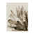 Image Brush Gel selected