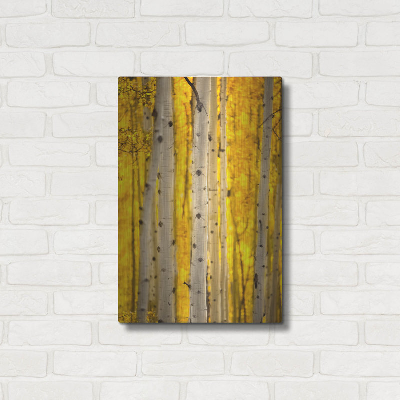 "Aspen Trees" par Jonathan Ross, H 24 po x l 16 po