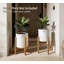 Support à plantes moderne Mid Century pour plantes d'intérieur - Support de présentation en bois de pin fabriqué à la main pour pots à fleurs de 8 à 10 pouces (pot non inclus)
