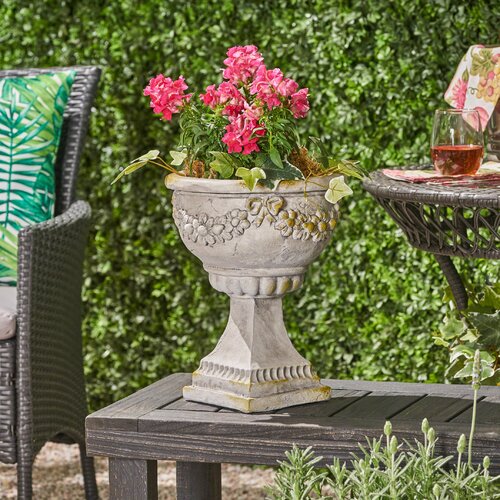 Wayfair | Concrete Planters You'll Love in 2023