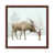 Brown Framed is unavailable