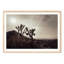 Mojave Desert-1250630513-1250630514