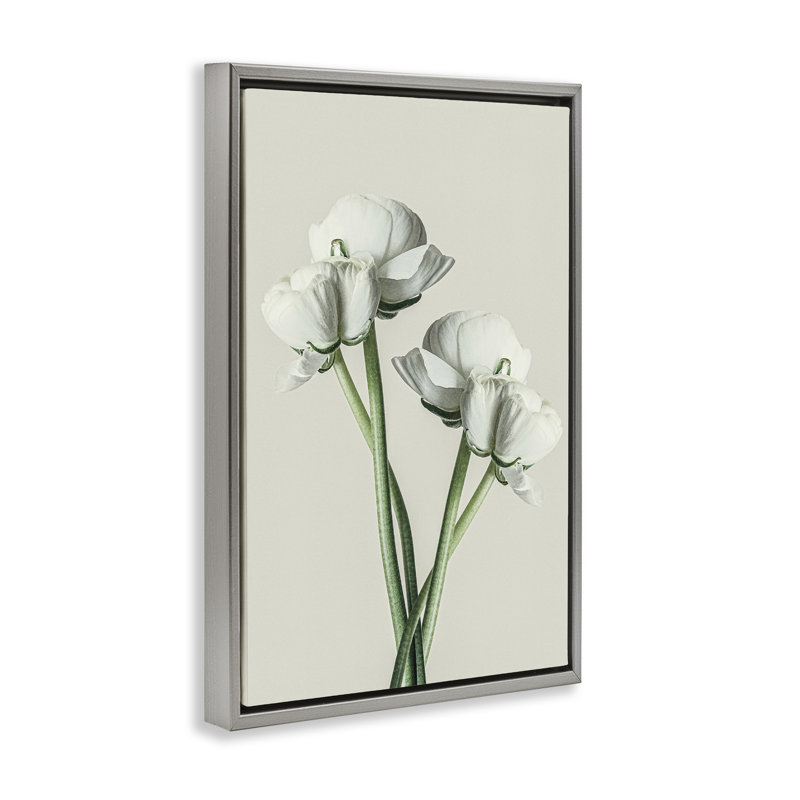 Toile flottante encadrée "White Flower" par Incado, Cadre flottant gris lustré, H 25 po x l 17 po